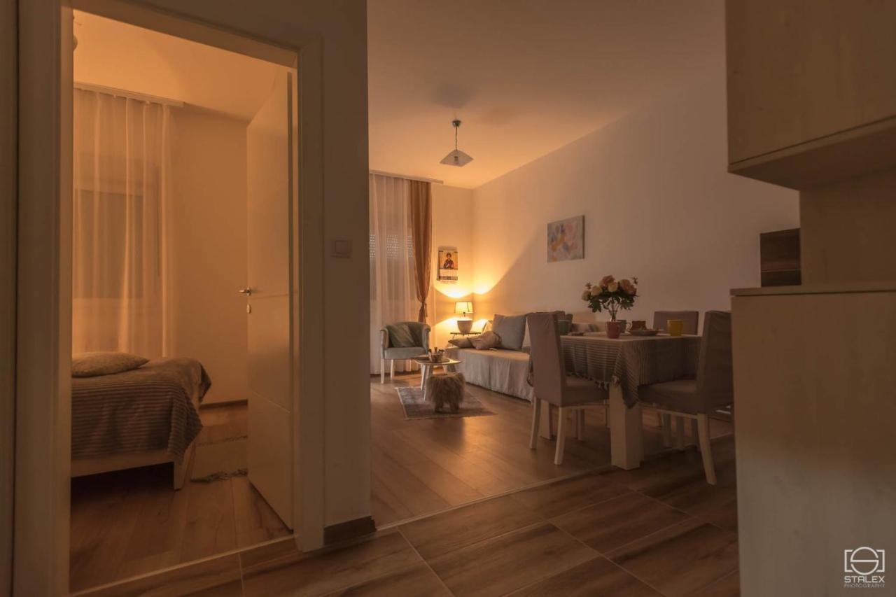 Apartman Lena Banja Koviljača Extérieur photo